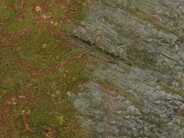 Gray green moss rock outdoor wall texture (ID:ffaeh060324)