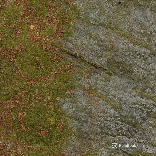 Gray green moss rock outdoor wall texture