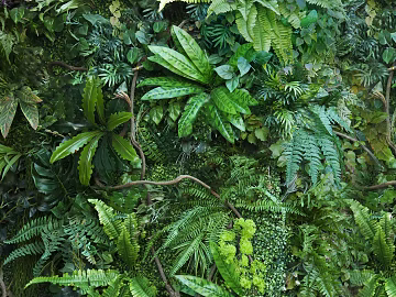 Plants texture (ID:ffagg37876)