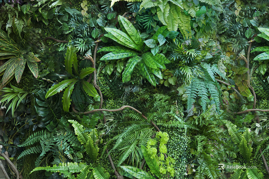 Plants texture
