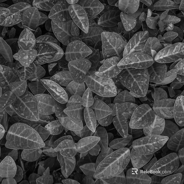 Black and White Bump texture