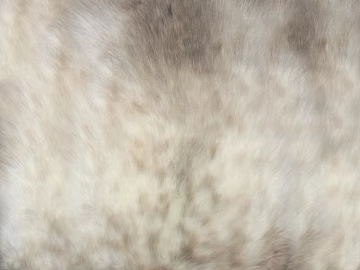 animal skin texture (ID:ffajg78242)