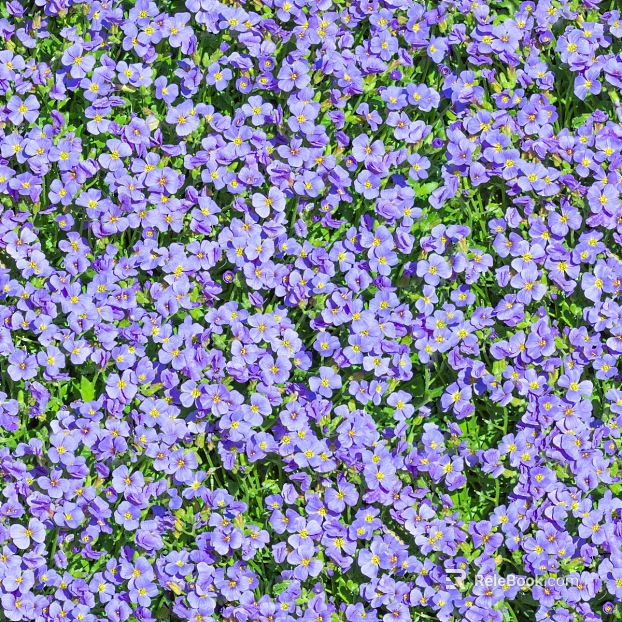 Flowers texture