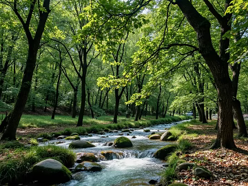Wild Outdoor Forest Streams Trees Rainforest texture (ID:ffach959498)