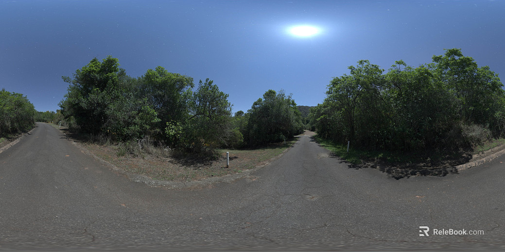 Outdoor Road Forest View Daytime HDR texture