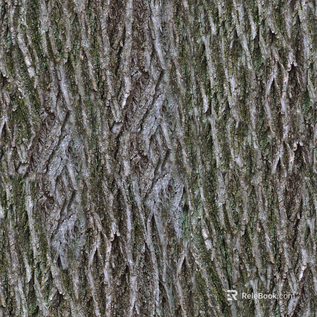 bark texture