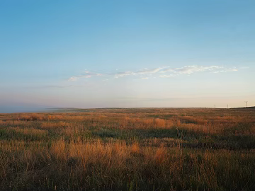 Wild Scenery texture (ID:ffach604656)