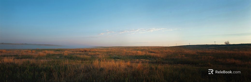 Wild Scenery texture