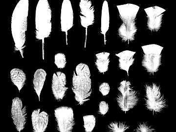 Highlight Mask texture (ID:ffaag85536)