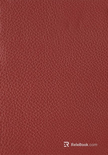 Coarse-grain leather texture