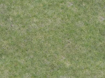 Turf 3d model