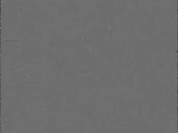 Gray latex paint for interior walls texture (ID:ffaeh225164)