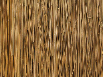 Thatched roof texture (ID:ffaeg60672)