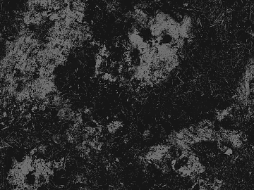 Ground black and white map texture (ID:ffhee286)