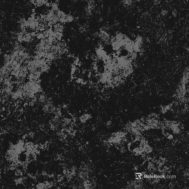 Ground black and white map texture
