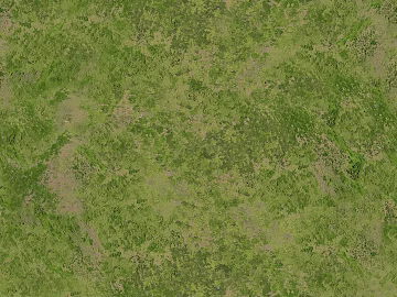 Grassland texture (ID:ffach429446)