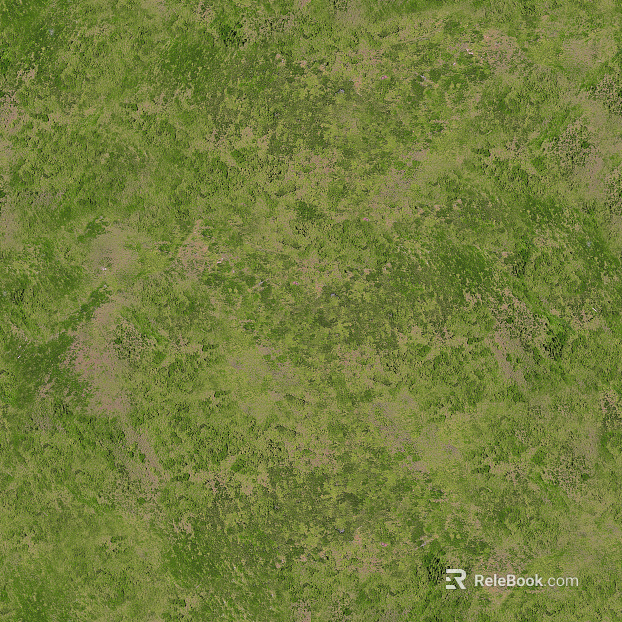 Grassland texture