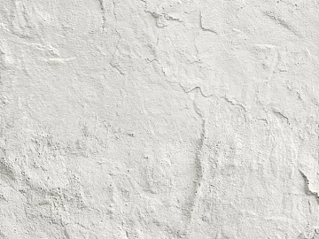 White texture paint interior wall (ID:ffaeh253561)