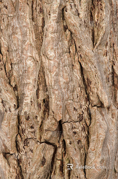 bark texture