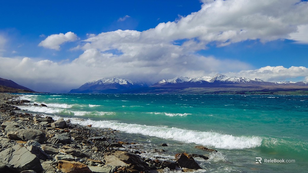 Wild Scenery texture