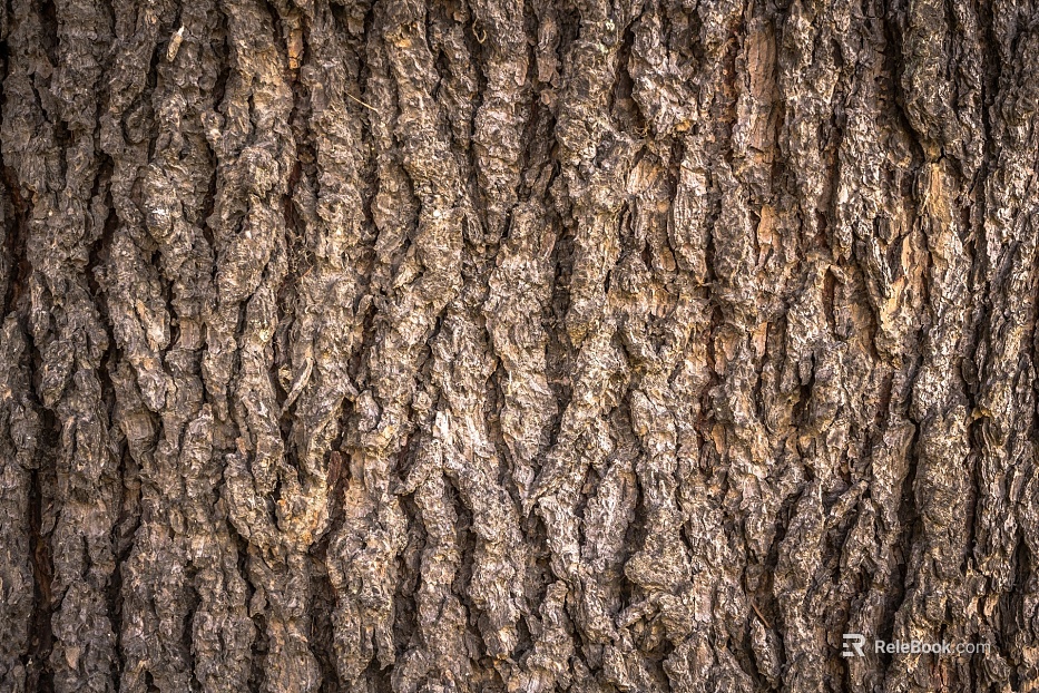 bark texture