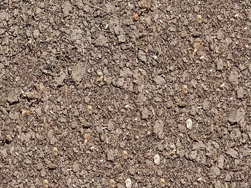Ground texture (ID:ffaeg64409)