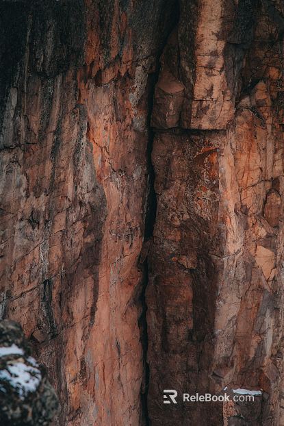 bark texture