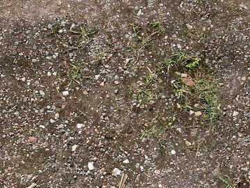 Gravel texture (ID:ffabg45994)