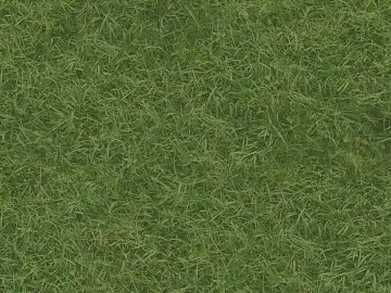 Turf texture (ID:ffagg50465)