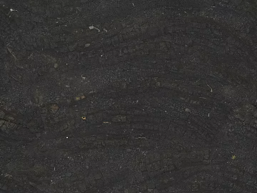 Stone Paving texture (ID:ffacg58653)