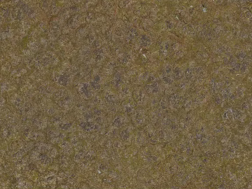 grassland soil wetland ground texture (ID:ffach104716)