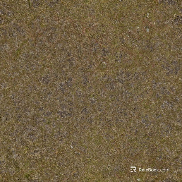 grassland soil wetland ground texture