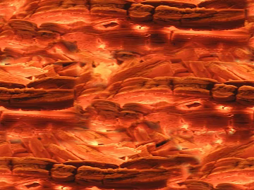 charred wood roasted mahogany seamless texture (ID:ffabg62102)