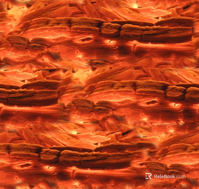 charred wood roasted mahogany seamless texture
