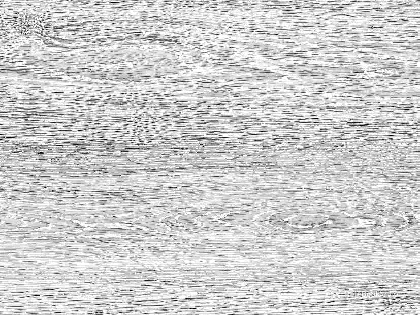 Black and white wood grain texture