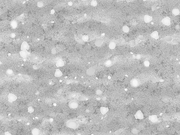 Light gray shell sand ground decoration texture (ID:ffaeh223686)