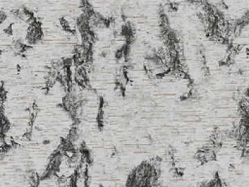 bark texture (ID:ffacg77952)