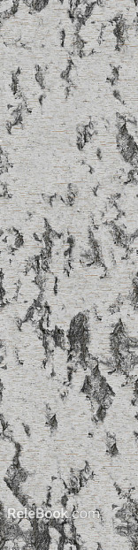 bark texture