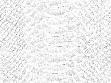 Silvery white serpentine leather trim fabric texture (ID:ffaeh982886)