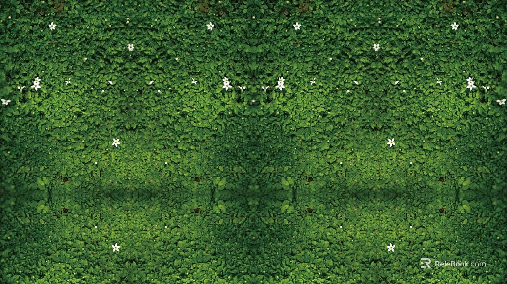 Plant wall texture