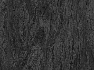 bark 3d model