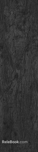 bark texture