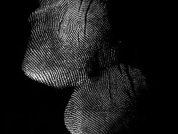 Fingerprint texture (ID:ffagg16374)