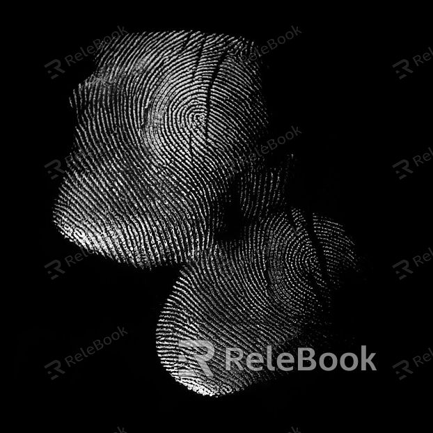 Fingerprint texture