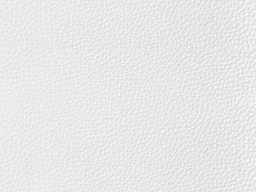Coarse-grain leather 3d model