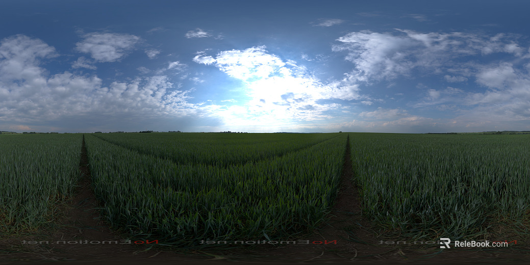 HDR Sky texture