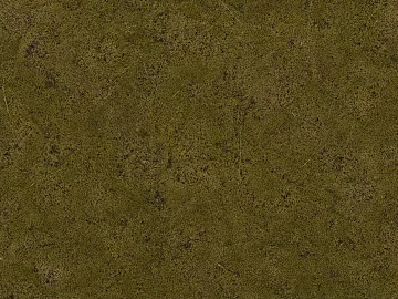 grassland soil wetland ground texture (ID:ffach512716)