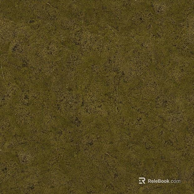 grassland soil wetland ground texture