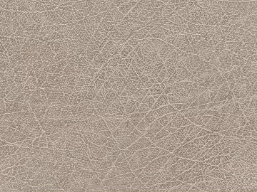 Coarse-grain leather texture (ID:ffagg85419)
