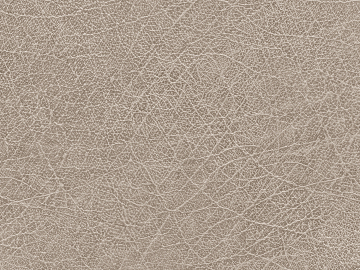 Coarse-grain leather texture (ID:ffagg85419)